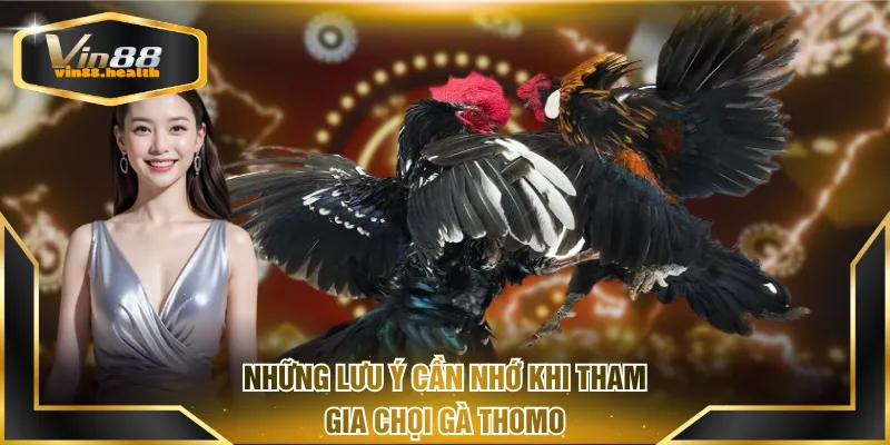 Những lưu ý cần nhớ khi tham gia chọi gà Thomo